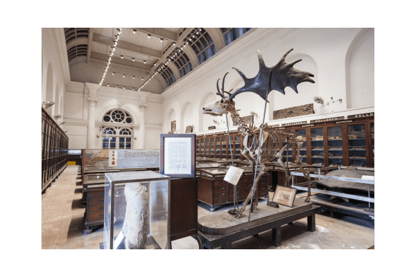 India educational tours - Indian Museum Kolkata heritage site